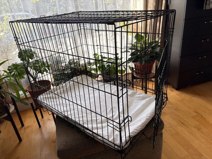 Dog crate with foam mattress