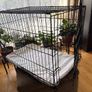Dog crate with foam mattress Image 7
