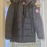 canada goose Image 4