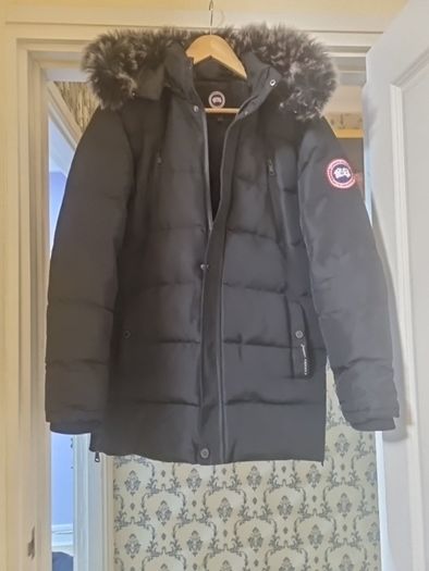canada goose