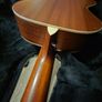 Taylor gc3 (312) grand concert guitar Image 8