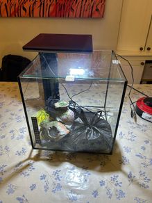 Fish Tank