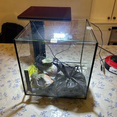 Fish Tank