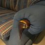 Sofa and Armchair Image 6