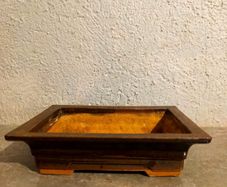 Medium Bonsai Pot #7