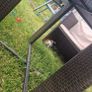 Rattan glass top table and 4 chairs Image 7