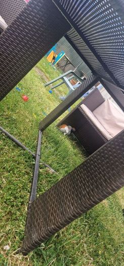 Rattan glass top table and 4 chairs