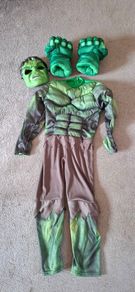 Hulk Costume