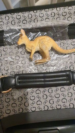 Kangaroo toy