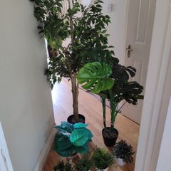 False plants