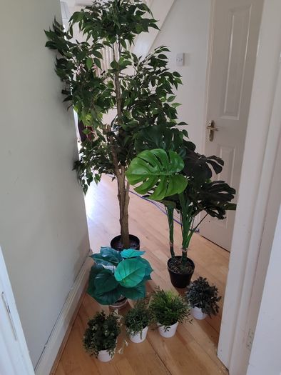 False plants