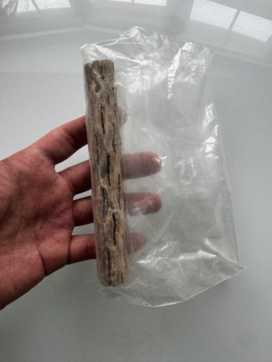cholla wood & lotus pods for shrimps/aquarium