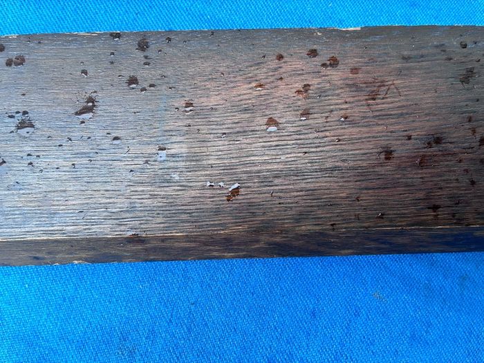 Old oak timber