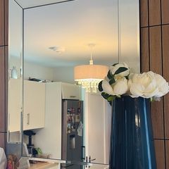 large Bevelled Mirror