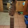 Fender squire affinity Telecaster Image 4