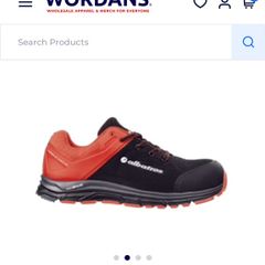 Albatross safety shoes