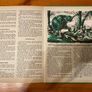 Comic: 'Tarzan' annual 1973 Image 4