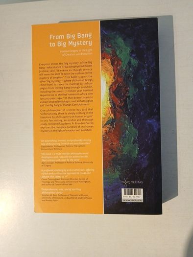 From Big Bang To Big Mystery by Brendan Purcell