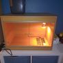 lizard tank Image 3