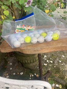 Golf balls, tees and pick up