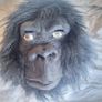 gorilla mask Image 2
