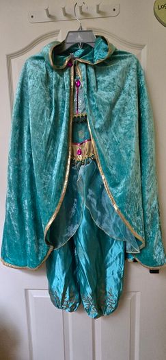 Jasmine costume