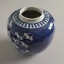 Ginger Jar Image 2