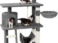 main image for ad Cat Scratching Post with Many Cuddly - Free Delivery Nationwide