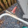 Bosch lawnmower Free Image 3
