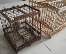 bird cage