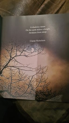 How We Survived And Suprised. A Collection Of Writing By Polio Survivers In Ireland. Large Volume Book In Very Good Condition.