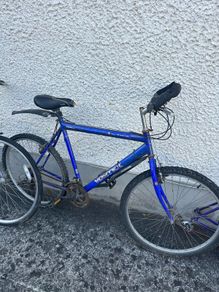 Raleigh Vortex