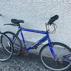 Raleigh Vortex