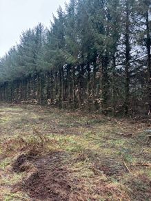 Mulcher and tree shears