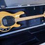 musicman sterling Ray 34 Image 7