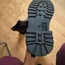 H&M Chelsea boots new(unused) Image 2