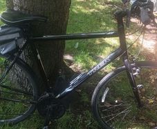 trek 7.1