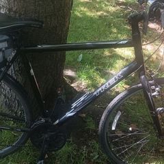 trek 7.1