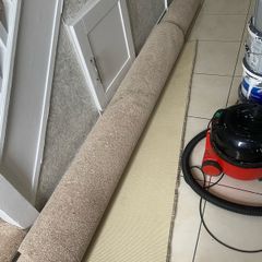 carpet new