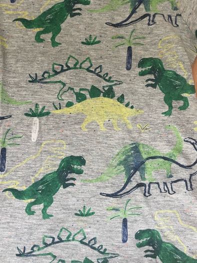 Two M&S dinosaur t-shirts 5-6y