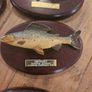 fishermans tale plaques Image 4