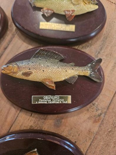 fishermans tale plaques