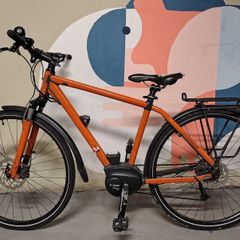 Focus Ebike