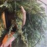 Stunning over 70 cm faux wreath vintage bow and antlers Image 10