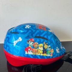 Paw patrol helmet
