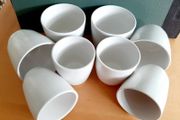 Oriental-style tea cups (8)