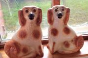 Pair of large old brown &amp; white Staffordshire flat back dogs