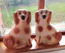 Pair of large old brown & white Staffordshire flat back dogs