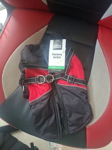 dog harness