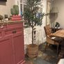 Very large beautiful faux olive tree Image 2